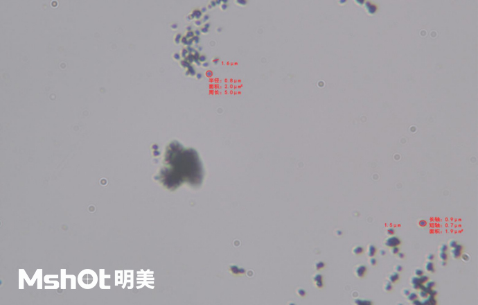 青金石用什么顯微鏡看？