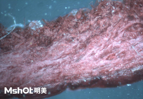 皮革質(zhì)量和真假鑒定，要用什么顯微鏡？