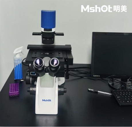 斑馬魚(yú)化妝品方向可以用什么顯微鏡觀察呢？