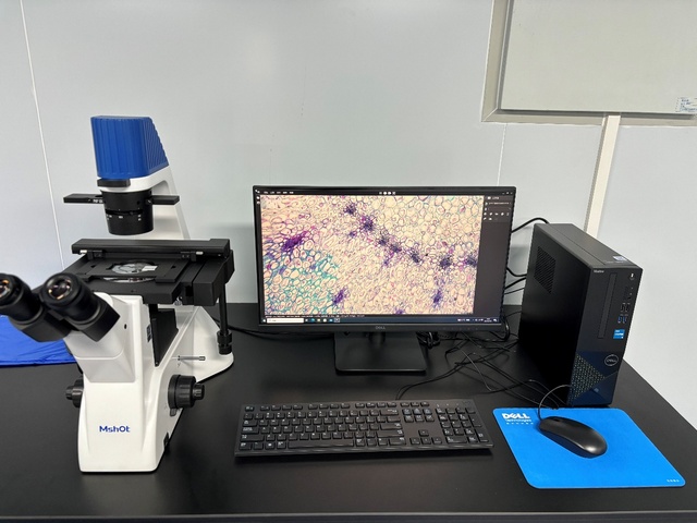 顯微鏡助力湖南大學(xué)交叉學(xué)院組織切片研究